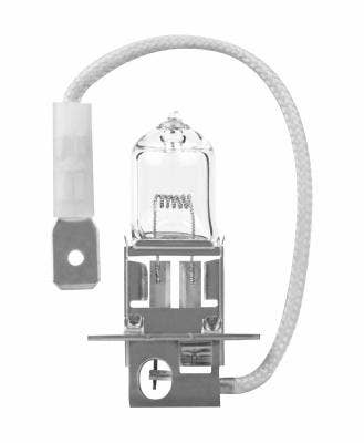 Fog Light Bulb