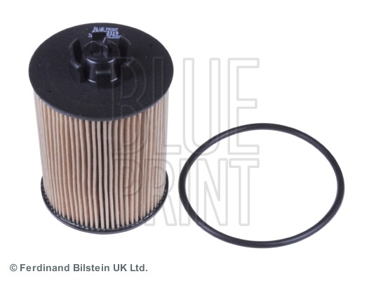 BLUEPRINT -  Oil Filter - Filter Insert