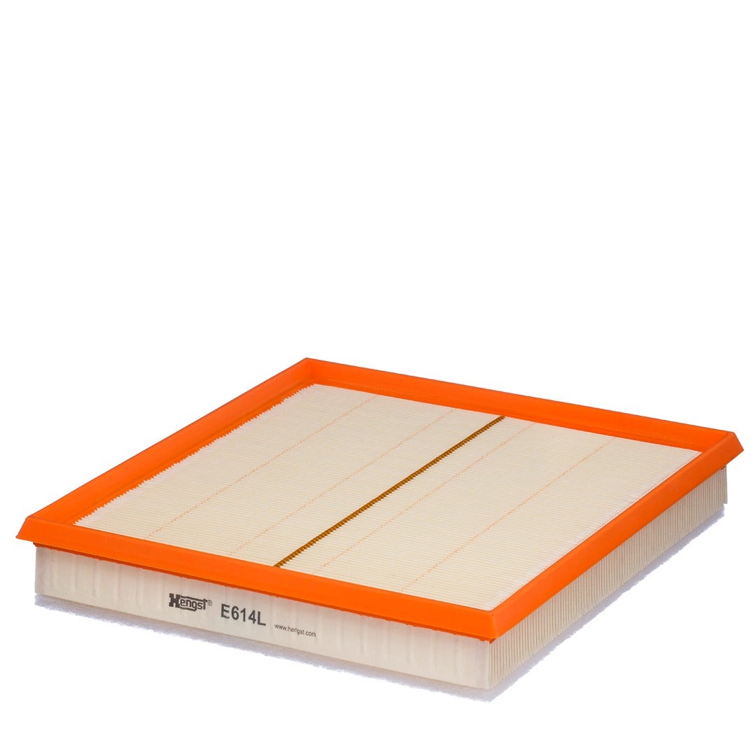 HENGST -  Air Filter