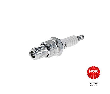 NGK -  Spark Plug - B8EG