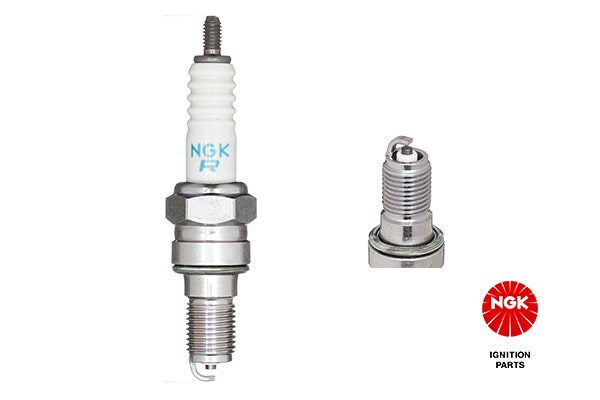 NGK -  Spark Plug - DCPR7E-N-10