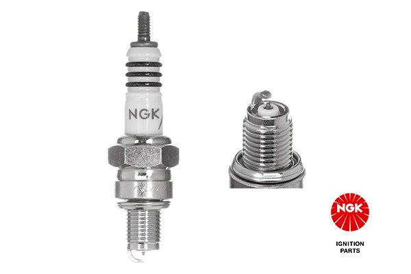 NGK -  Spark Plug - DCPR8E-N