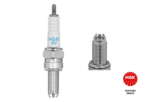 NGK -  Spark Plug - DCPR8EKC