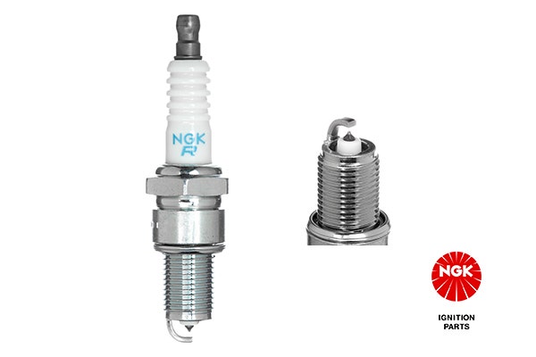 NGK -  Spark Plug - PTR5D-10