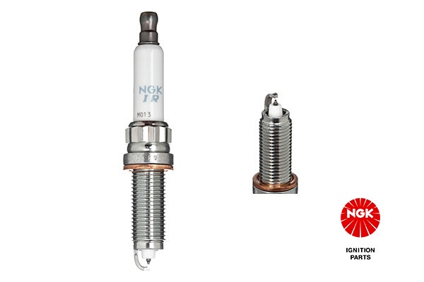 NGK -  Spark Plug - SILZKBR8D8S