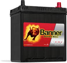 BANNER -  Heavy Duty Battery