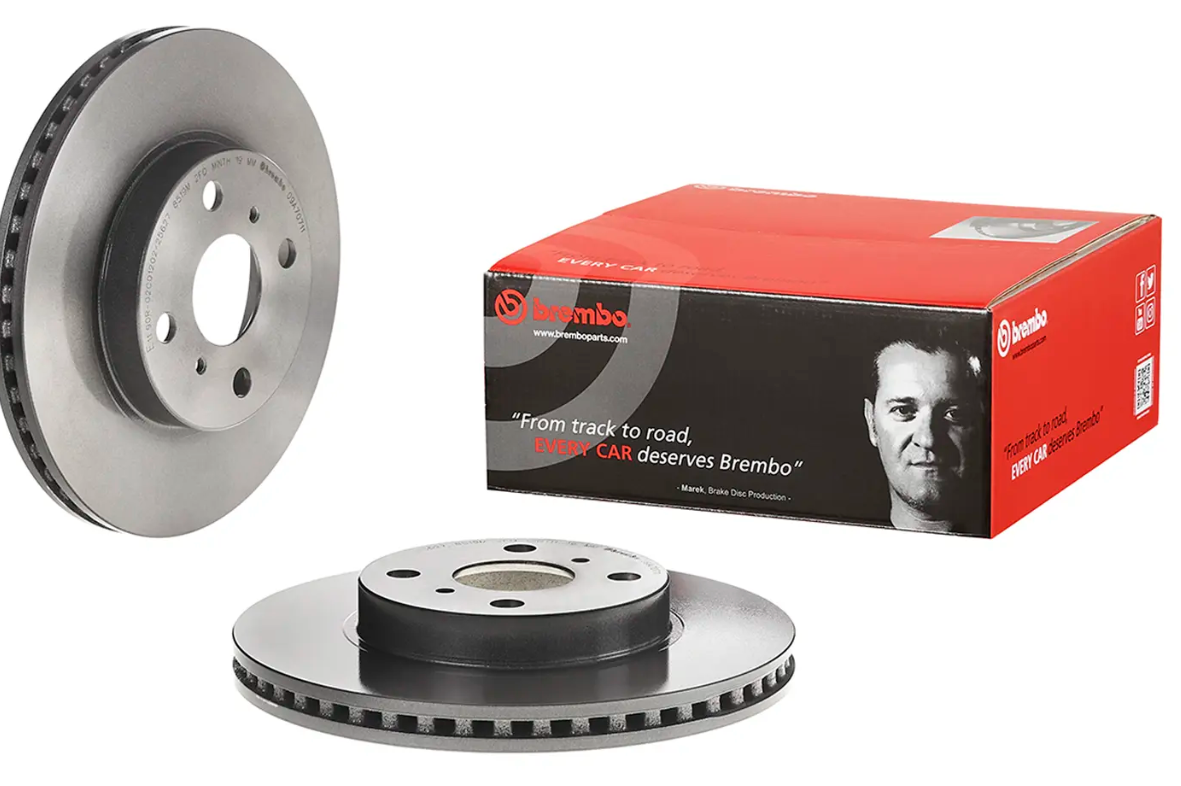 BREMBO -  Front Vented Brake Disc Pair Coated - 255mm Diameter