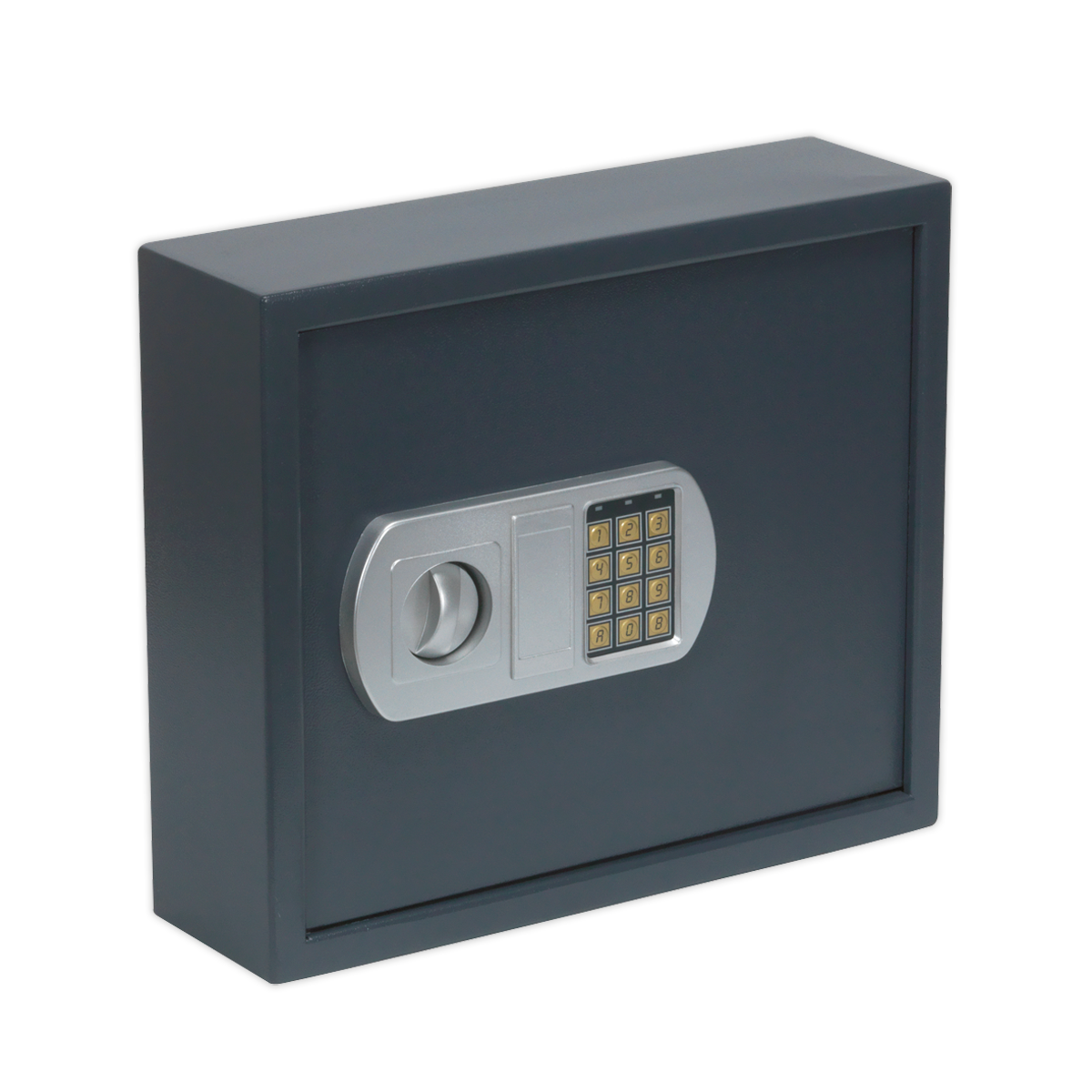 Electronic Key Cabinet 50 Key Capacity